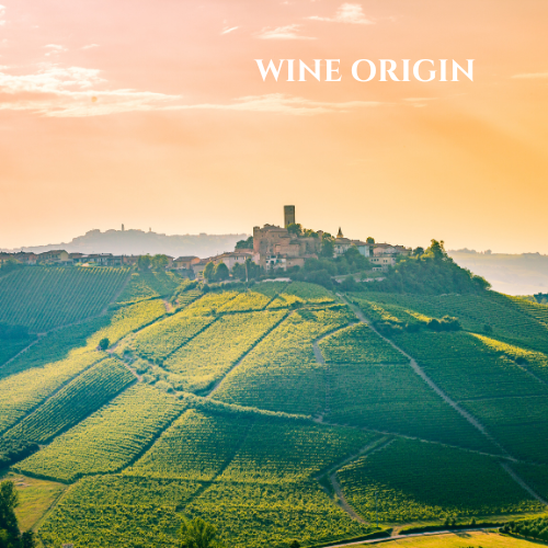 8/28(목) Wine ORIGIN