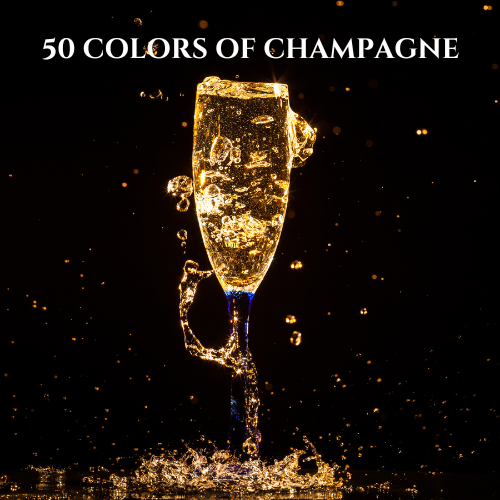 8/27(수) 50 colors of CHAMPAGNE